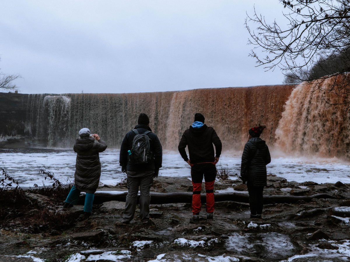 Exploring Lahemaa National Park: The Perfect Winter Day Trip from&nbsp;Tallinn